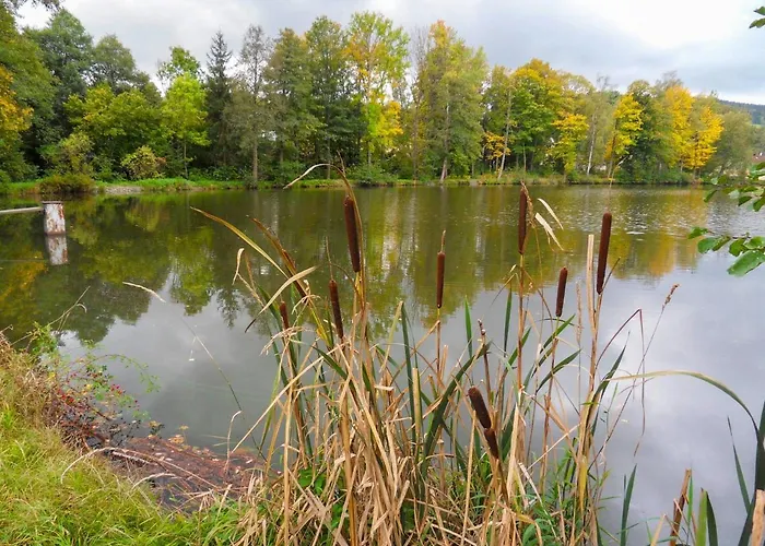 Ujezd Svateho Krize By Interhome Holiday home Bela nad Radbuzou